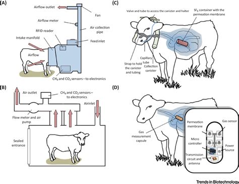 methane gas analysis methods|field measurement of methane.